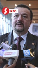 Equity, financial markets capable of navigating heightened tariff-led volatility