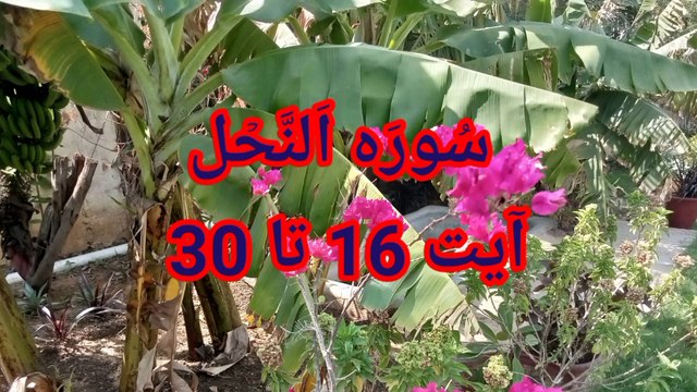 Surah An Nahl | Quran pak ki tilawat | Beautiful recitation | Online quran | Quran Tajweed |