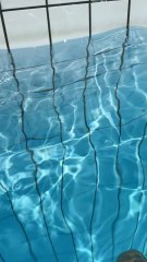 Elle veut des conseils pour bien respirer en crawl ? 🏊‍♂️