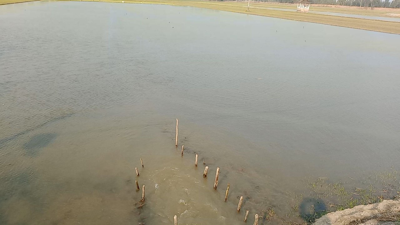 pump water