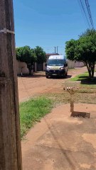 visita do amigo Marco Antenas