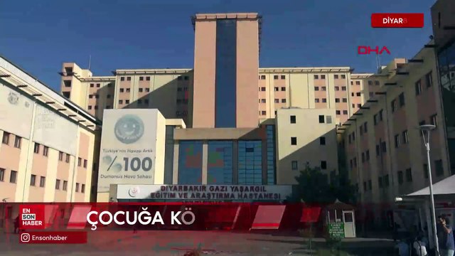 Diyarbakır'da 10 yaşındaki Ahmet, köpek saldırısında yaralandı