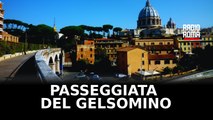 Nuovo volto per la Passeggiata del Gelsomino: riapre il romantico percorso