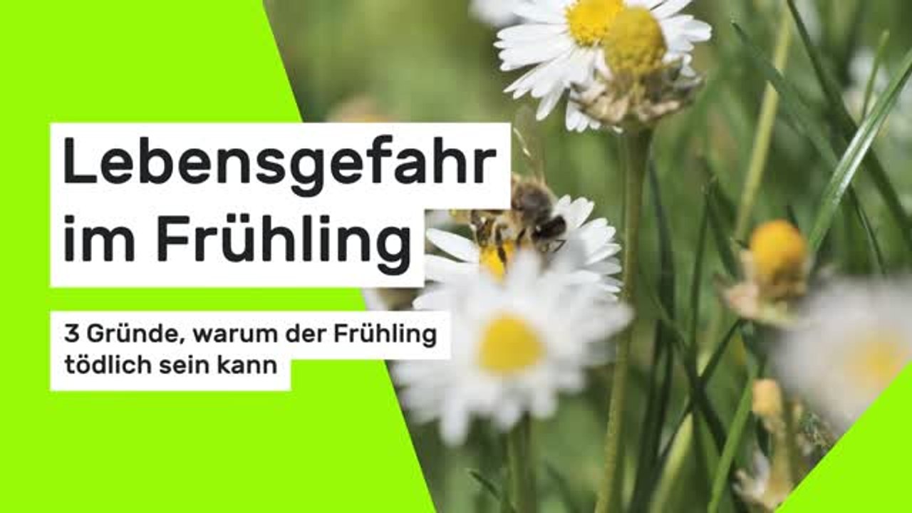 Lebensgefahr im Frühling: 3 Gründe, warum der Frühling tödlich sein kann
