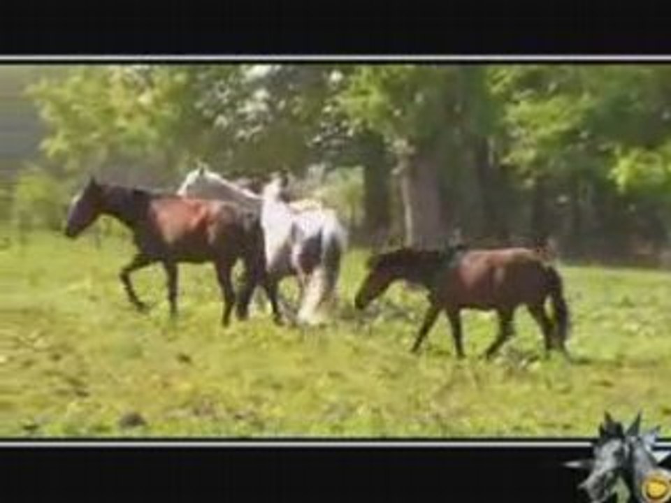 Unico, mai 2008 - Vie de troupeau