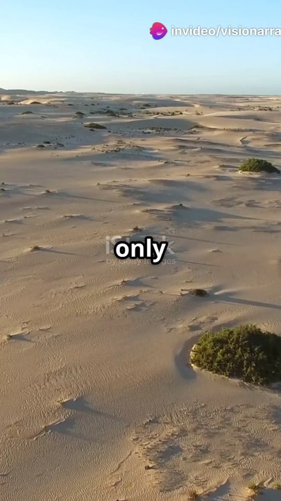 #DidYouKnow #FunFacts #MindBlown #LearnSomethingNew #RandomFacts #KnowledgeIsPower #FactTok #YouTubeShorts #FYP #ViralShorts