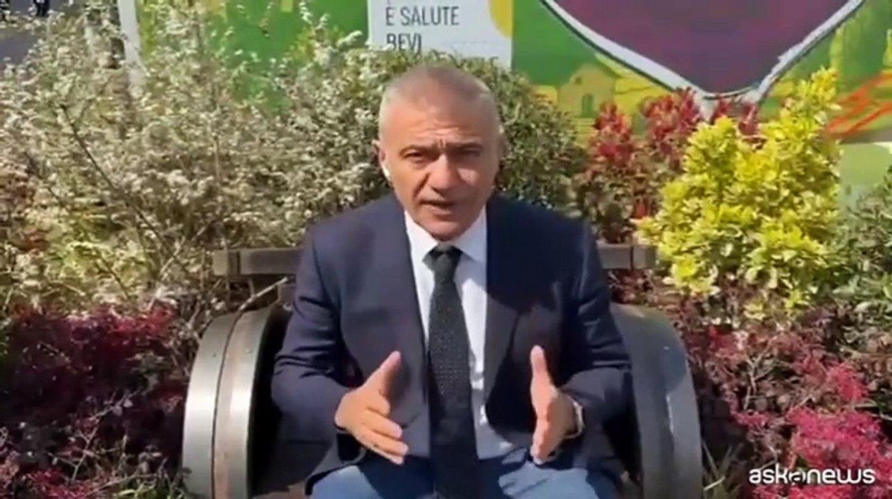 Vinitaly, Pecoraro Scanio: appello agli agricoltori per l'enoturismo