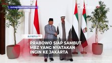 Prabowo Bertemu MBZ di Istana Qasr Al Shatie, Ini yang Dibahas