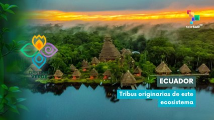 Parque Nacional Yasuní de Ecuador