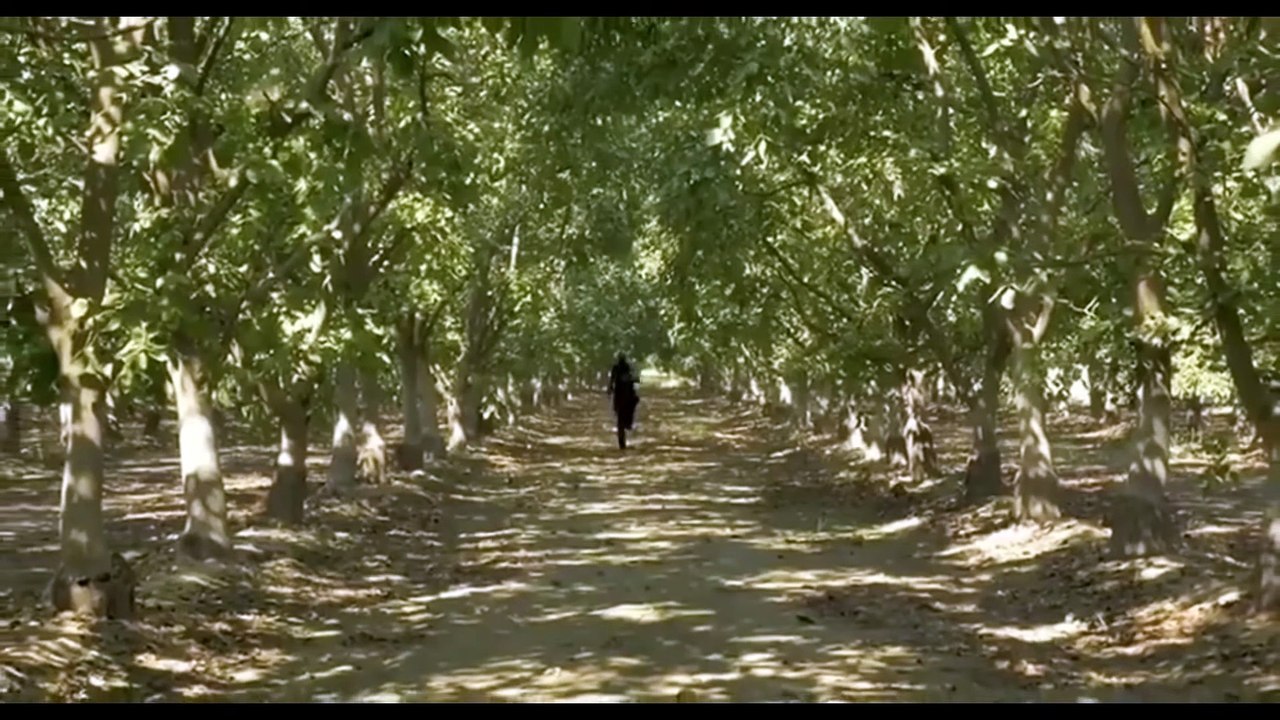 Night Mistress Official Trailer