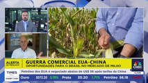 Guerra comercial entre EUA e China abre espaço para milho do Brasil; presidente da Abramilho comenta