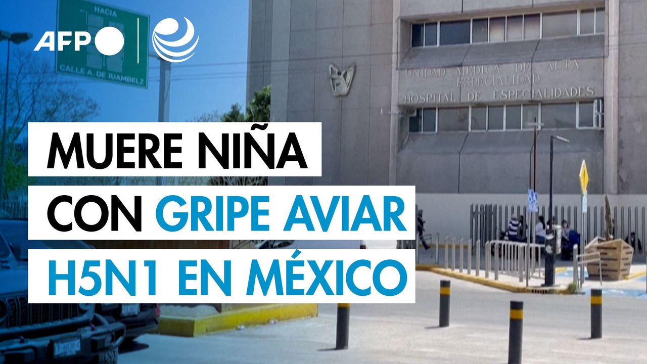 Muere niña reportada como primer caso humano de gripe aviar H5N1 en México