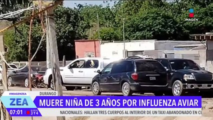Muere niña de 3 años con influenza aviar AH5N1 en México