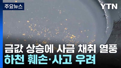 금값 상승에 사금 채취 열풍...하천 훼손·사고 우려 / YTN