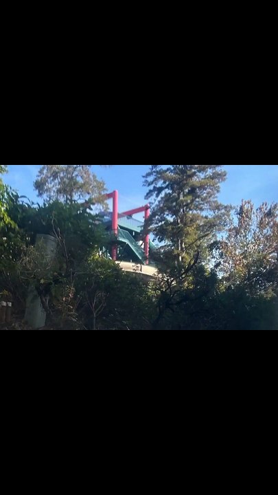 Disney's Blizzard Beach Water Park Bay Lake, FL 2024