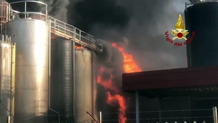 Caivano (NA) - Incendio in azienda chimica, Vigili del Fuoco in azione (09.04.25)