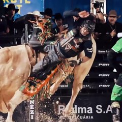 Campeão de montaria é pisoteado por touro durante competição em Brasília