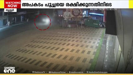 റോഡിൽ കുടുങ്ങിയ പൂച്ചയെ രക്ഷിക്കാൻ ശ്രമിക്കുന്നതിനിടെ ലോറിയിടിച്ച് യുവാവിനെ ദാരുണാന്ത്യം