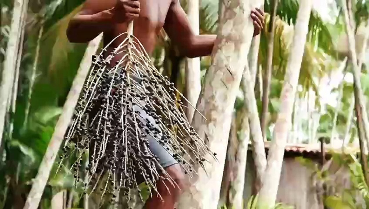VÍDEO MANIFESTO ASSOBIO