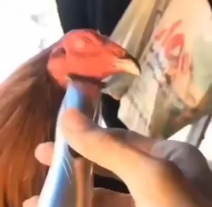 short video 💞💞