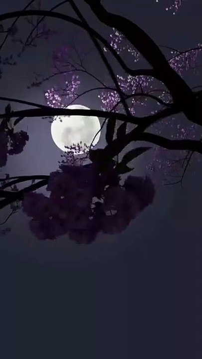 Beautiful recetation