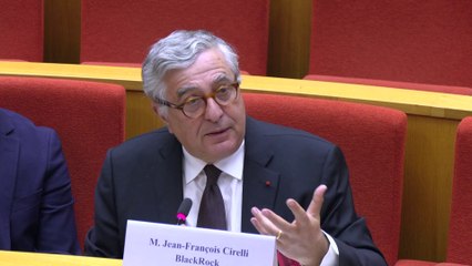 Les aides aux entreprises ne sont « jamais un critère déterminant » dans les choix de Blackrock