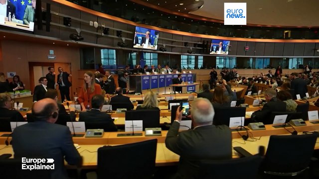 Corte dei Conti Ue chiede alla Commissione europea più trasparenza sui fondi alle Ong