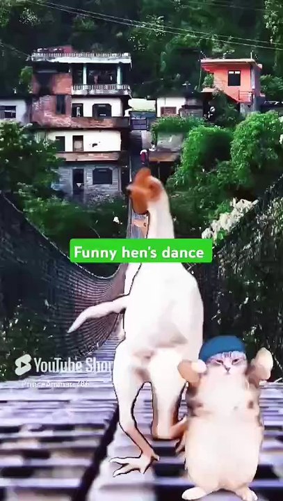 Hen's Dance