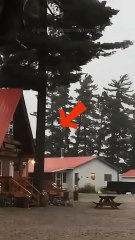 ⚡ La Foudre Dangereuse : 30 000°C, 8M d’impacts/jour, elle frappe sans pitié ! ⛈️ Abonne-toi pour + de phénomènes !