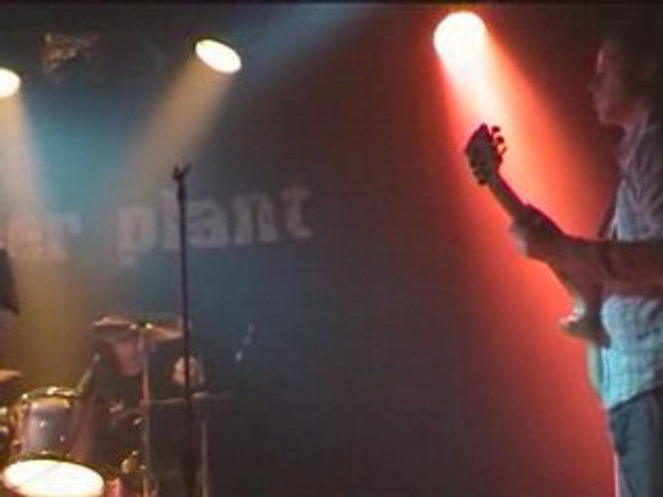 Temper Plant - wie weit..