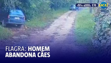 Cães são abandonados em Juiz de Fora e tudo é filmado