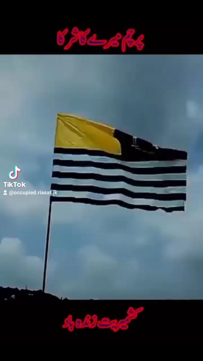 kashmiri