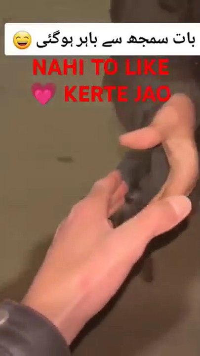 New Challenge ❤️ Impossible ♥️ Challenge Accepted???♥️ #shorts #funnyvideo #comedy #love #challenge