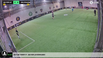 But de Terry F - Bayer Leverkusec