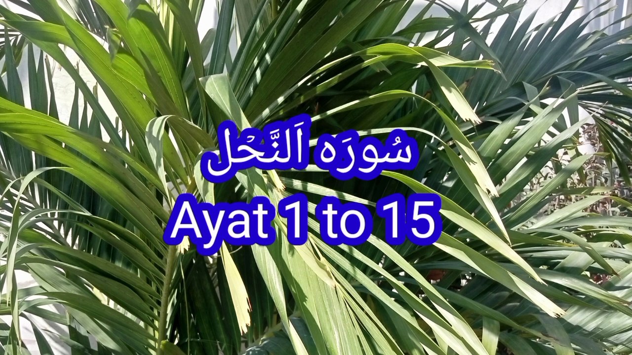 Surah An Nahl |quran recitation | Quran pak ki Tilawat | beautiful recitation | Quran teaching |