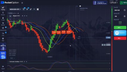 My Broker Almost FROZE My Account After This Alligator + Stochastic Trading Exploit Hit 100% Wins