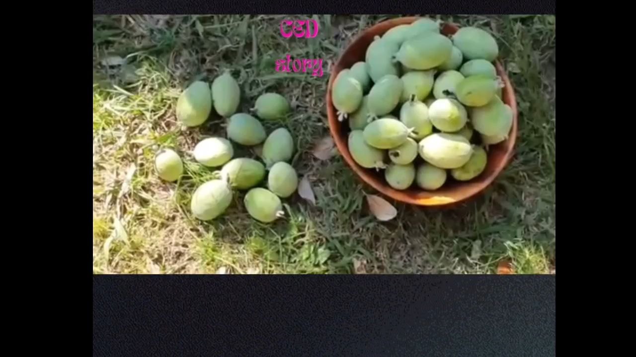 Pineapple Guava