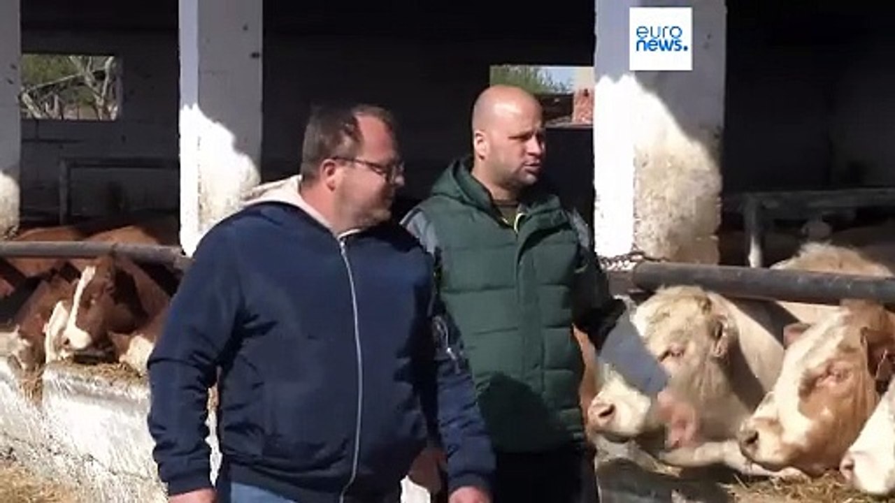 Concern over the spread of foot-and-mouth disease grows amongst Croatian farmers