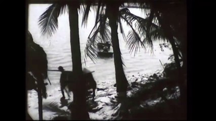 Vĩ Tuyến 17 Ngày Và Đêm - 17th Parallel, Nights and Days