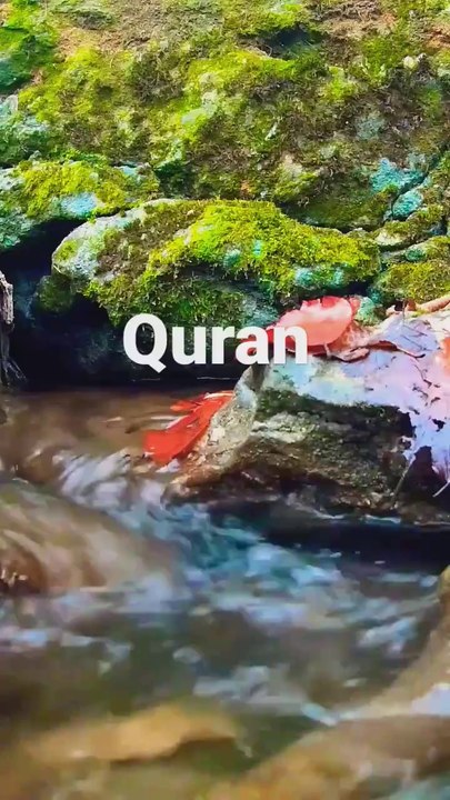 Listen Once | Soulful Recitation of Holy Quran | Beautiful Sound | #shorts