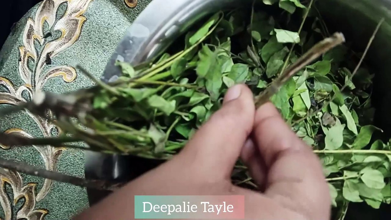 पूरे साल भर के लिए करी पत्ता को करे स्टोर नही होगे खराब | How to Store Curry Leaves | DIY Curry Leaves Powder by Deepalie Tayle