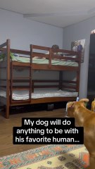 Doggo didn't need any help 🤣