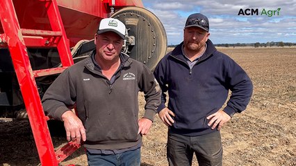Canola crops get the axe amid dry conditions as sowing begins in the Wimmera