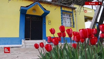 Elazığ'da yaşlı adam Fenerbahçe sevgisini evine yansıttı