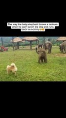 “Bet You Can’t Watch This Without Smiling”