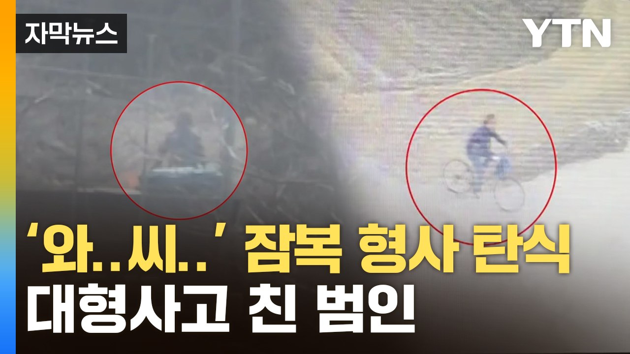 [자막뉴스] 나흘간 잠복하다 경악할 장면 목격...범인은 바로 / YTN