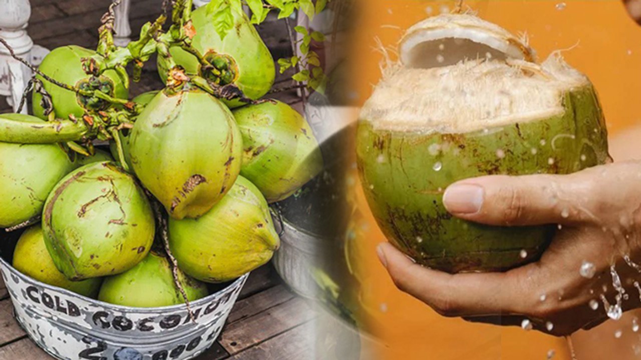 Coconut Water Tricks: ज्यादा पानी वाले नारियल को कैसे पहचानें, Kis Nariyal Me Pani Jyada Hota Hai