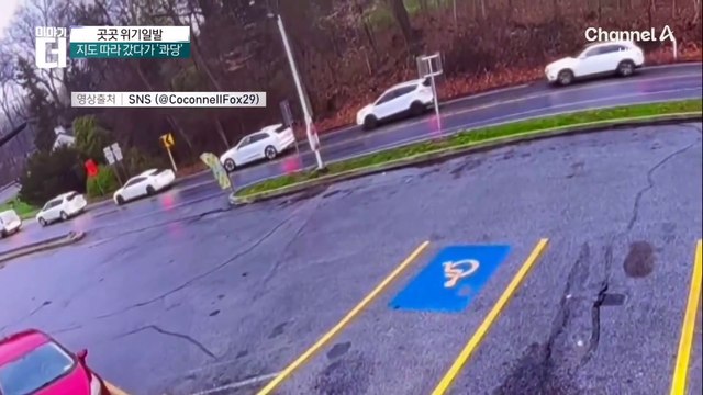 돌연 쓰러진 거대 나무…대기 중 차량 덮쳐 ‘폭삭’