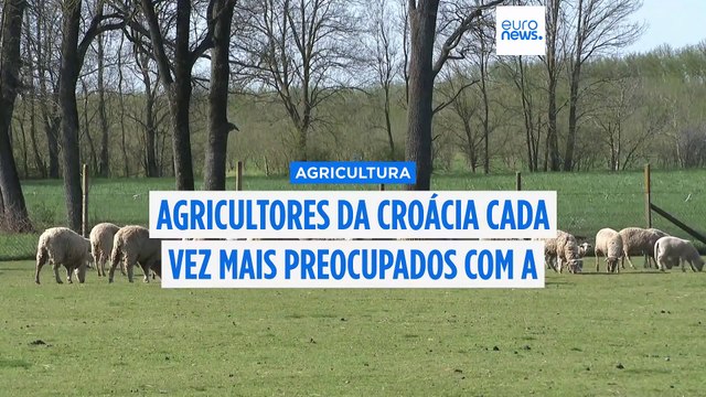 Aumenta a preocupação dos agricultores croatas com a propagação da febre aftosa