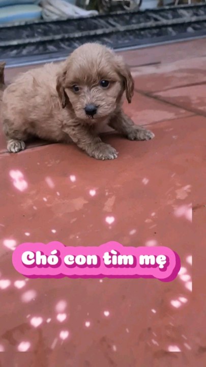 Cute